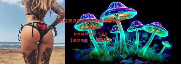 альфа пвп Бородино