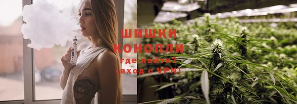 альфа пвп Бородино