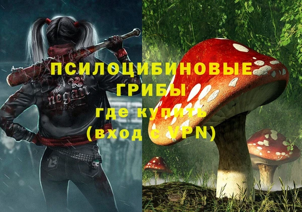 альфа пвп Бородино