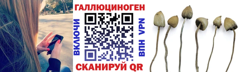 как найти наркотики kraken tor Галлюциногенные грибы GOLDEN TEACHER Кондопога